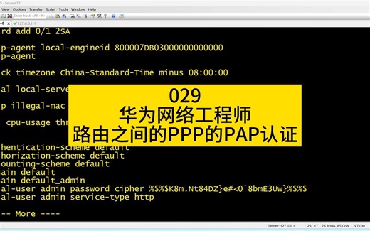 关于华为网络工程中的路由器PPP链路协议的配置，如何使用pap认证