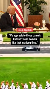 1M views · 10K reactions | "We appreciate these camels. I haven't seen camels like that in a long time," President Trump said of his elaborate welcome in Qatar, which included mounted camels visible alongside his drive in Doha. https://cbsn.ws/4kjwgdW | CBS News | Facebook