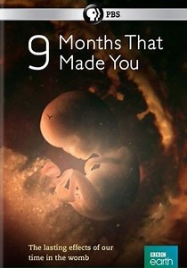 9 Months That Made You - streaming tv show online