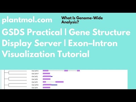 GSDS Practical | Gene Structure Display Server | Exon–Intron Visualization Tutorial