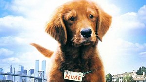 Watch Fluke online free on TinyZone