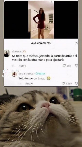 Los memes de gatos más divertidos de TikTok