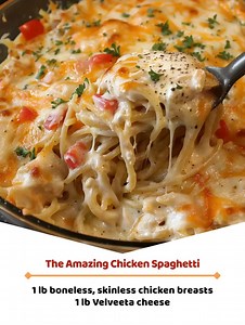 The Amazing Chicken Spaghetti ingredients: 1 lb boneless, skinless chicken breasts 1 lb Velveeta cheese, regular or Mexican 1 can Rotel tomatoes, regular or hot 1 lb spaghetti pasta Full Recipe 👇💬 | Grandma’s Recipe Book