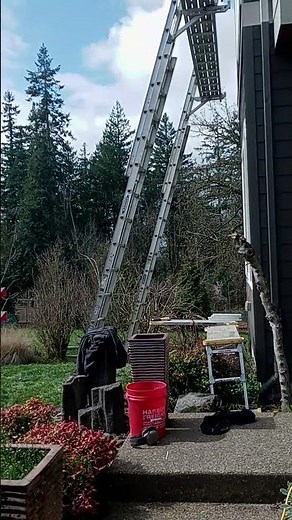 ladders scaffolding setup