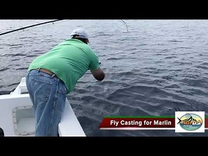 Fishing Reports – Arizona Fly Fishing