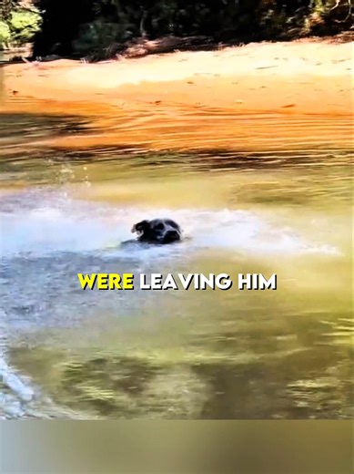 He Thought His Family Left Him Forever… 💔🐶