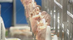 Poultry processing industry. Raw chicken meat production line.