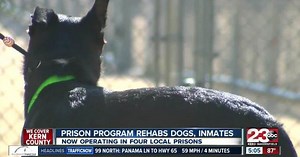 Pawsitive Change program rehabs dogs, inmates