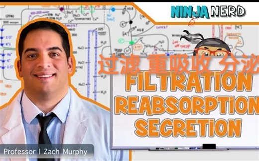 【Ninja Nerd】(英文字幕) 滤过、重吸收和分泌：概述 Renal | Filtration, Reabsorption, and Secretion…