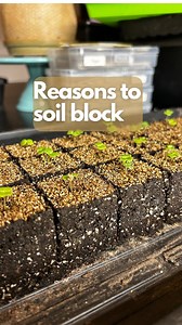If the reason you haven’t tried soil blocking is the idea that you have to use a complicated, multi-ingredient recipe, let me tell you that it doesn’t have to be like that. I use bagged potting mix (I specifically use organic peat-free) that I sift with a dollar store colander. Ask me any questions you want. Let me help convince you to try soil blocking. 😂 Here’s what you need to soil block: 1. A soil blocker (I prefer swiftblockers for 4 reasons. See below) 2. a tray with no holes that fits wh