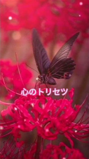 #心のトリセツ#イライラ #怒り #感情のコントロール #不安障害 #悲しみ