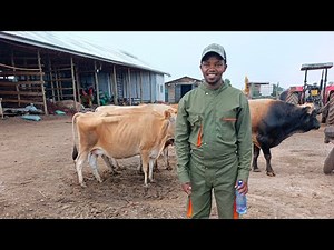 We Visited this Sheep farm. Secret to Modern Livestock Farming success