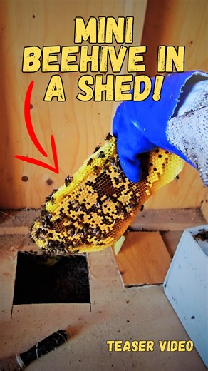 1.2K views · 15 reactions | *Teaser Video* This customer thought she...