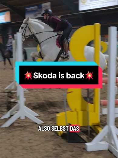 Springpause für Pferde: Skoda zeigt wie es geht