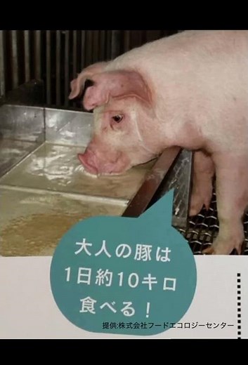 食品ロスを見てみよう〜リサイクルのしくみ〜