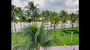 12 reactions | Thanks to Miami Beach Paradise for visiting us and for the great video! If you are curious to see our beautiful location beachfront and the Art deco decor of our spaces.. enjoy this video! 懶懶 see you soon  | Beacon South Beach | Facebook