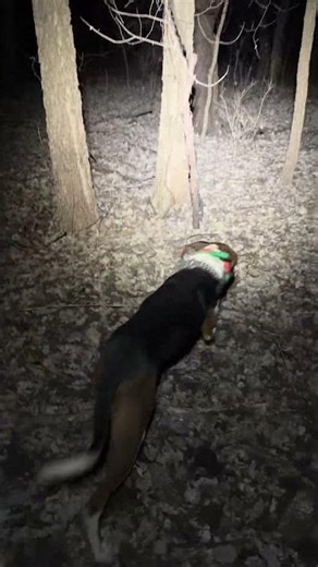 Beast on his 6th recut for the night!