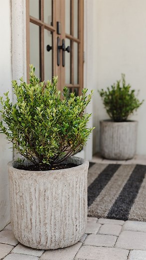 Jenna Sue • Design + DIY on Instagram: "Just a few simple steps to transform any planter into ‘stone’—for a fraction of the cost! 🪨 Who else has tried this hypertufa method, and who is getting the supplies to make one this weekend? 👇🏼 You can find a detailed tutorial on my blog (link in bio) in case you missed it!"