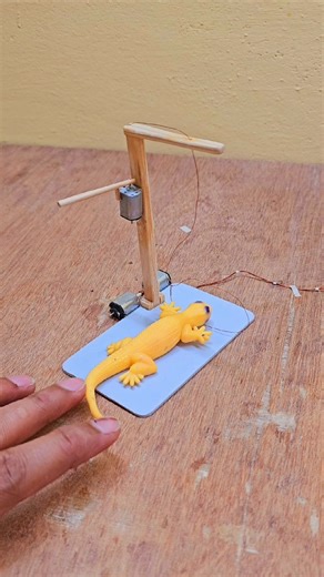 Science & Engineering on Instagram: "Sweet little lizard pulled up real fast ! Lizard trap with dc motor #electronics #dcmotor #lizard #trap #funny"