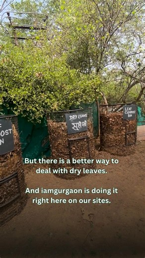 Why do we compost? 🌿 Because it’s the simplest way to give back to the earth — and restore balance. ♻️ At all iamgurgaon sites, we collect dry leaves, twigs, and fallen flowers into compost bins. We water and press the pile at least twice a month — or whenever it dries out — to keep moisture and airflow just right. Organic manure boosts microbial activity, and in 4–6 months, we get rich compost that nourishes our native plants and restores soil health. 🌱 ✨ The impact? Diverts organic waste fro