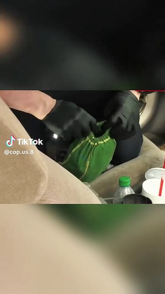 Understanding the Role of UK Police Interceptors