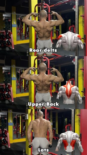 "Maximize Your Back Gains: Train Everything on One Machine!"#shorts #fitness #motivation