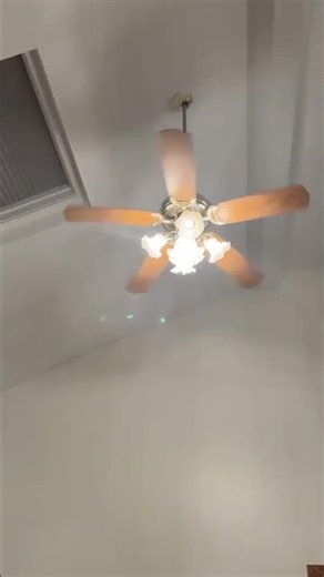 Craftmade Decorative Ceiling Fan 52" polished brass