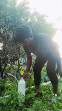 baingan ki kit davai🍆🍆 #dudhi #minivlog #vlog #farming #shortvideo