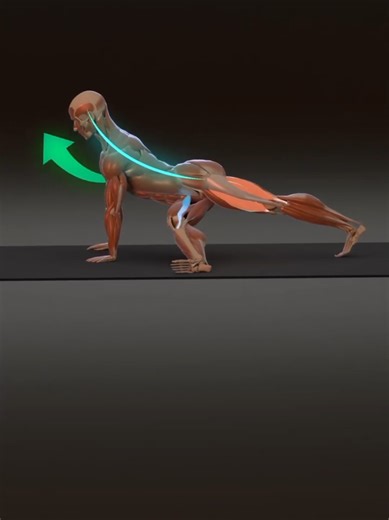 Effective Stretching Exercises for Back Pain Relief