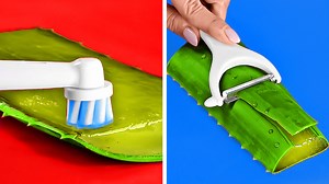 Brilliant aloe vera hacks to help solve your problems: | 5-Minute Crafts Play
