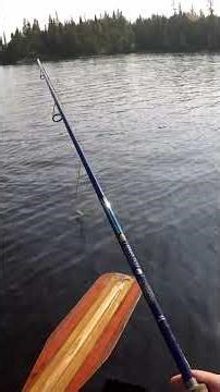 Pike Drags Boat And Gets Lost In The Weeds! #pike #fishing #pikefishing