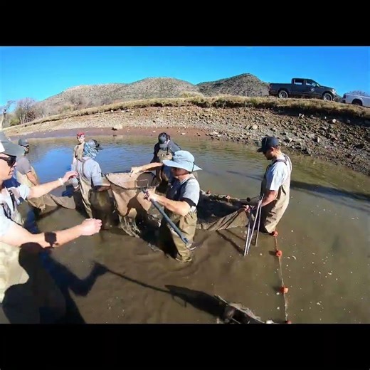 POV: Human Fish Ladder 🐟🙌