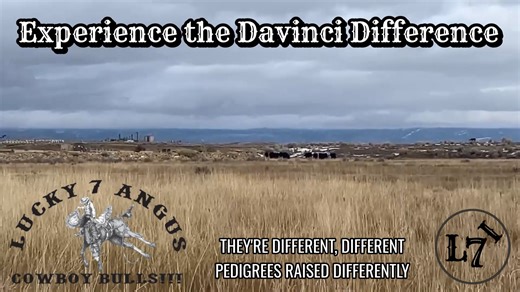 Yeah they're Angus. They're different, different pedigrees raised differently and raised in real world conditions. They'll make more money than any other cattle in the world. That's the Davinci Difference! We run 600 head where we used to run 290 — on the same ground. That’s not management magic. That’s genetics that get it done. Welcome to DaVinci Cattle: ✔️ Eats less ✔️ Lives longer ✔️ Stays healthier ✔️ Thrives tough conditions ✔️ Dominates the feedlot on gain and cost of gain And when they l