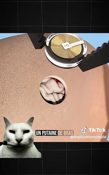 Cette expérience a relié deux cerveaux de rats 😮 #animation #explication #savoir #science #cerveau