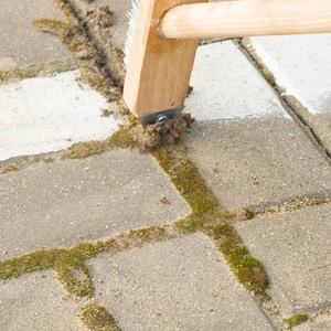 Cleaning Everything | Crafty Panda