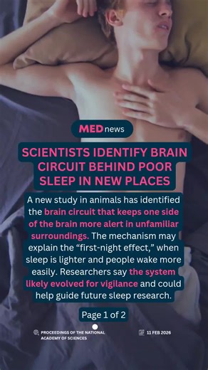 🧠 New study identifies brain circuit behind poor sleep in unfamiliar places New research in PNAS describes a neural circuit that keeps one hemisphere of the brain more responsive in unfamiliar environments. In animal models, this asymmetric brain activity was linked to lighter, more fragmented sleep — offering a mechanistic explanation for the human “first-night effect.” Researchers found the system maintains heightened sensory responsiveness on one side of the brain, suggesting a built-in vigi