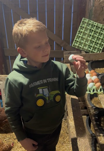 Discovering Fairy Eggs in the Coop!