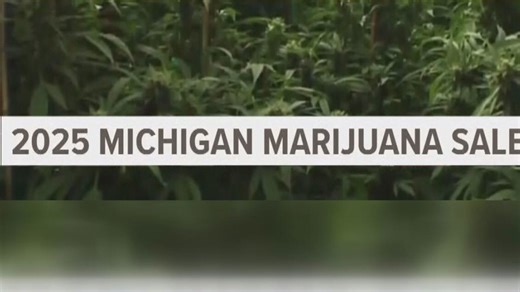 Recapping Michigan adult-use marijuana sales from 2025