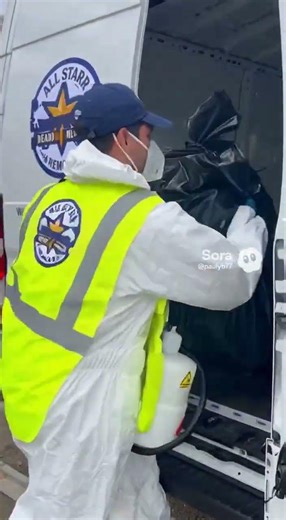 Need Dead Geese Removal in New Jersey—Fast? | Emergency Same-Day Service - Call (732) 600-1974