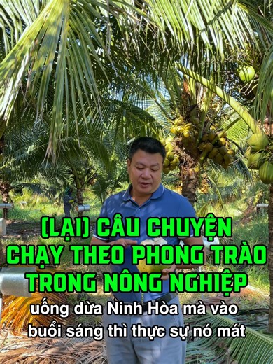 Câu Chuyện Nông Nghiệp: Kinh Nghiệm Trồng Dừa và Tôm