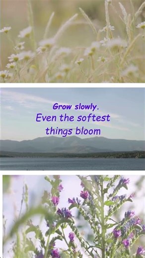 grow slowly 🌿 even the softest things bloom | quiet growth