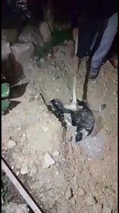 138K views · 325 reactions | Watch what they put inside | The Good Catch | Facebook