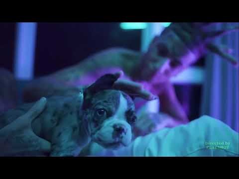 Island Boy - Flyysoulja (ft. KodiyakRedd) [ Music Video/Song ]