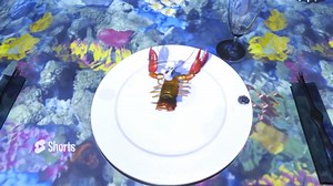 59K views · 425 reactions |  ✨ Cairo: The World's Smallest Chefs Cook Up Big Fun! Le Petit Chef & Friends at Four Seasons First Nile Boat | Le Petit Chef | Facebook