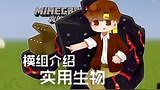 我的世界Minecraft《籽岷的模组介绍 实用生物》