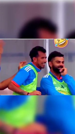 cricket funny moments#art