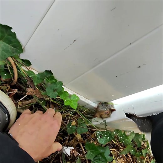 258K views · 7.6K reactions | Saved ! Please replace your missing...