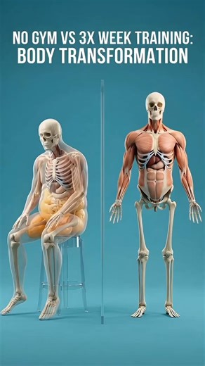 No Gym vs 3x Week Training | How Consistent Exercise Changes the Body