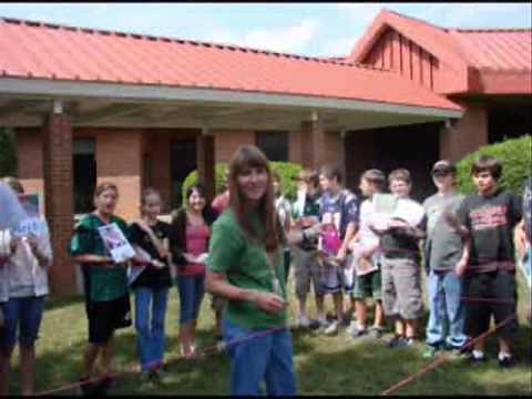 Food Webbing Activity
