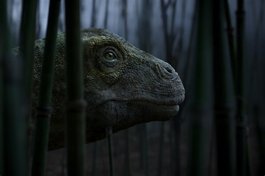 6 Documentaries That Will Challenge the Way You See the World - RELEVANT